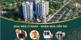 BÁN CĂN HỘ PHƯỜNG 3 - MỸ THO, BAO SỔ, BAO GIÁ RẺ