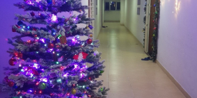 Bán căn hộ 2 phòng ngủ, Chung cư D1, KDC Phú Lợi,