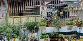 Bán đất tặng nhà sân vườn Hoàng Hoa Thám, Ba Đình 75m2x4T, ngõ ba gác tránh