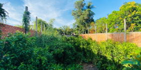 BÁN DÃY NHÀ TRỌ 25 PHÒNG MẶT TIỀN LÝ THƯỜNG KIỆT PHƯỜNG 6 CÀ MAU