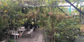 Bán Biệt Thự Nhà Vườn 1111m2 Mặt Tiền 30/4 Giá 45tr/m2