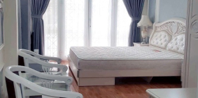 Cho thuê căn hộ Dịch vụ Luxury Apartments, p.Nguyễn Cư Trinh, giá tốt