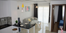 Cho thuê căn hộ cao cấp Nhật Bản Midori Park The View