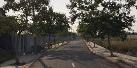 Đất nền TP Tân An P6 Huỳnh Châu Sổ gần cây xăng UBND P6 725tr/nền