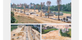 KHÁM PHÁ HỆ SINH THÁI CÂY XANH ĐỘC ĐÁO TẠI DANKO CITY