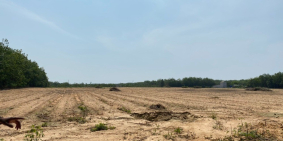 Bán đất chính chủ giá rẻ Dầu Tiếng Bình Dương (290tr/1000m2)