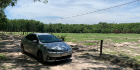 Cần bán lô đất Dầu Tiếng, Bình Dương 15x67 nở hậu giá thương lượng,