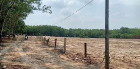 Đất Bình Dương giá rẻ 1000m2 chỉ 350tr sổ riêng công chứng ngay hỗ trợ ngân hàng