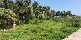 cần tiền bán nhanh lô đất 165m2 sổ đỏ hàm mỹ hàm thuận nam vòng xoay suối cát