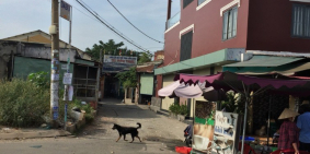 Cấn bán gấp đất đường Phan Văn Hớn - Hóc Môn SHR