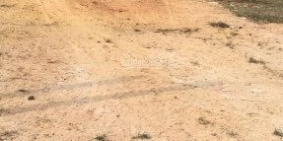 Chính chủ cần bán gấp 1000m2, chỉ 3tr/m2, gần cầu Cát Lái, LH: 0931486822