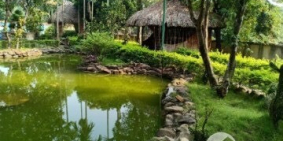 Cần bán 6.100m² View sông mát mẻ, có 270m² thổ cư, lộ 2m, cách UBND xã Hiệp Hưng