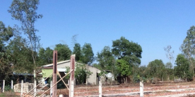 Đất ở Đã Có Sổ Đỏ tại thăng bình- quảng nam 0905983016