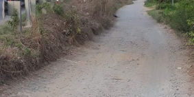 Đất mặt tiền tỉnh lộ 886B KCN Long Giang