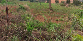 Cần bán đất mặt tiền xã Tà Nung Đà Lạt giá siêu rẻ có giá trị đầu tư cao.