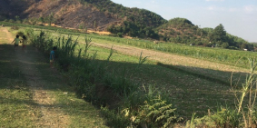 Gia đình muốn bán gấp đất đồi triền ở thị trấn Đạ Teh, Lâm Đồng