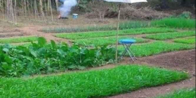 Đất Dầu Tiếng - Bình Dương giá mềm diện tích đẹp