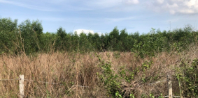 Bán gấp 1000m2 đất ONT Tân Hiệp, KDC ổn định, gần sân bay Long Thành chỉ 3,8 tỷ