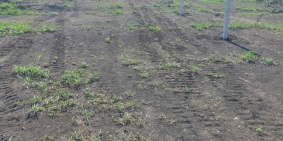 CẦN BÁN GẤP 5100M2 ĐẤT VƯỜN TRẢNG BOM, THÍCH HỢP XÂY DỰNG NHÀ XƯỞNG.