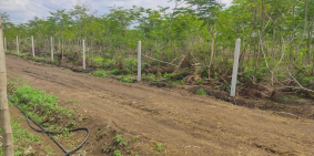 Cần bán gấp miếng đất760m2  2 mặt tiền đường 5m ở xã Hưng Thịnh, Trảng Bom.