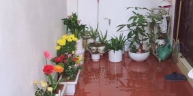 cho thuê nhà chính chủ khu vực ngọc thụy