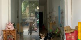 cho thuê căn nhà Nguyễn Thái Sơn ,phường 5 ,Gò vấp , tphcm