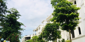 Bán lô Biệt Thự Song Lâp 182m2 tại trung tâm TP Bắc Giang - 0834186111