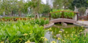 Chính chủ cần bán căn góc giữa ST5 Gamuda giá rẻ nhất thị trường. 0941670869