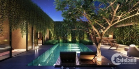 Chỉ còn 30 căn biệt thự biển ngay bãi trường Đảo Ngọc, cam kết lợi nhuận 10%/nam