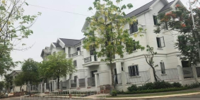 Vip ngoại giao Times Garden Vĩnh Yên tục đường 21m Lý Nam Đế