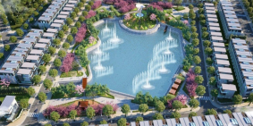 dự án tms đầm cói ra hàng tháng 7 , đã cho phép vào cọc giữ chỗ ưu tiên