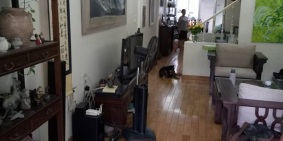 BÁN NHÀ PHỐ HOA BẰNG CỰC ĐẸP – MUA VỀ Ở LUÔN - GIÁ NHỈNH 3Tỷ