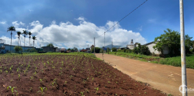 Bán Đất Cao Nguyên Di Linh Mặt Tiền Ql 20 Chỉ 485tr