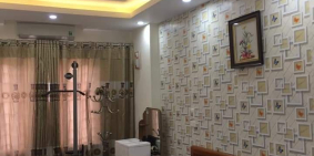 Bán Nhà Nguyễn Trường Tộ, Ba Đình 46m, 4T, 2 thoáng, Chỉ 4.6Tỷ. 0971813682.