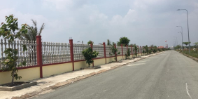 Đất Thổ Cư 5x25m Đường Hồng Phúc KDC Tân Đức, Giá Rẻ, Sổ Hồng Riêng