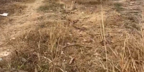 Bán đất thổ cư thị trấn Thuận Nam, huyện Hàm Thuận Nam