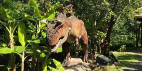 Bán nhanh lô đất trục chính Hòa Bắc giả rẻ cho nhà đầu tư