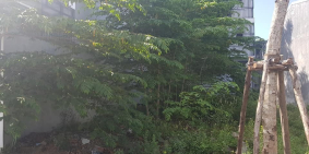 KQH Hương Sơ, mặt tiền đường Nguyễn Đóa