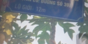 cần tiền cho 2 con đi du học nên cần bán gấp