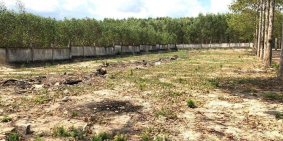 Do dịch covid19 chủ cần tiền đầu tư cho đi nhanh giá rẻ !!!