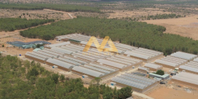 Nam Á Garden - Đất Bình Thuận siêu rẻ chỉ từ 50nghìn/m2, đã có sổ, gần Novaworld