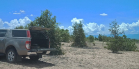 Bán 8000m đất nông nghiệp bình tân gần safari chỉ 520tr bao sang sổ 0938677909