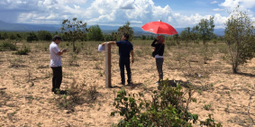 Bán đất miệt vườn ven biển GIÁ 50.000VND/m2 SHR công chứng 72h