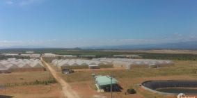 Bán 10 nghìn m2 đất giá 684 triệu có sổ đỏ công chứng ngay