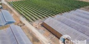 Bán 13961m2 đất nông nghiệp bình tân gần ubnd bình tân chỉ 50k/m2 Lh 0938677909