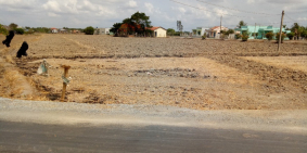 Can ban gap dat ruong dat hai mat tien fuong nhua