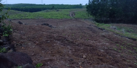 Đất xã Tân Hiệp cách sân bay 900 triệu/sào Giá Mềm. Liên hệ 0359509225