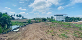 Bán đảo Mini tại Nhơn Trạch, vị trí đẹp, giá tốt đầu tư