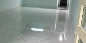 Nhà cho thuê nguyên căn, hẻm xe hơi, DT 4x16m, ở p.16, q. gò vấp giá 5tr/th