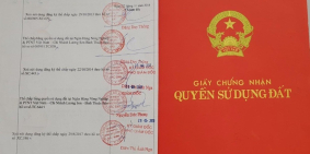 Sở Hữu 3000m2 Đât Bắc Bình Farmstay Bình Thuận Chỉ Với 180 Triệu.Lh: